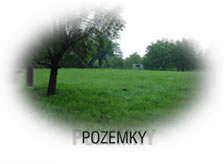 pozemky